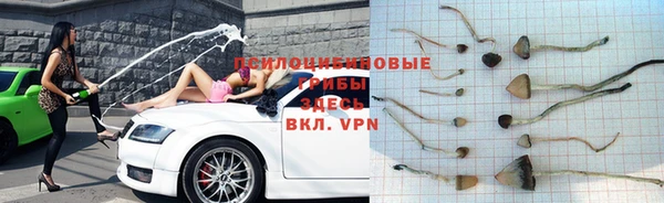 каннабис Арсеньев