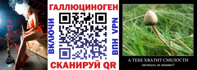 кракен ONION  купить   Бахчисарай  Галлюциногенные грибы Cubensis 