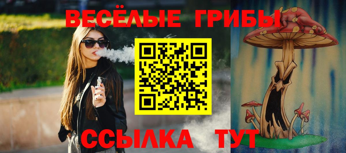 Галлюциногенные грибы Psilocybe Бахчисарай
