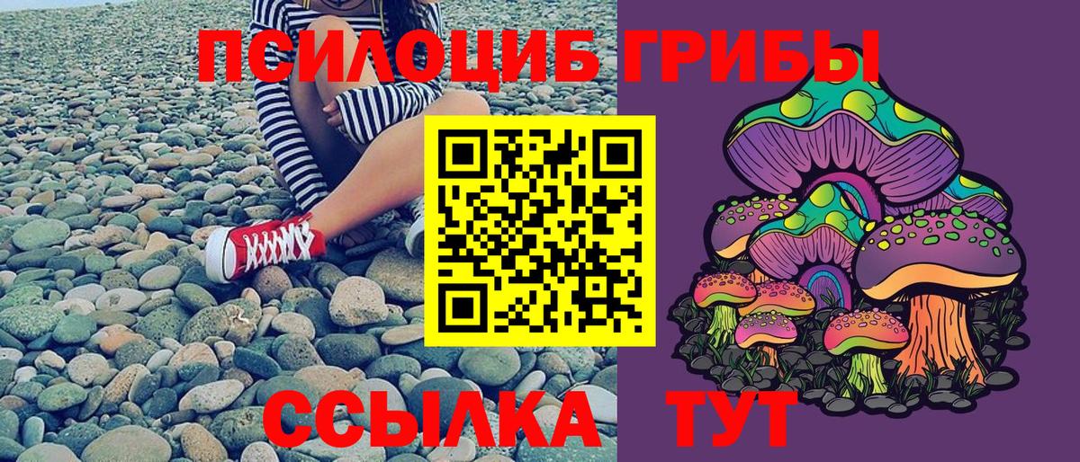 Бахчисарай  Галлюциногенные грибы Psilocybe  Псилоцибиновые грибы MAGIC MUSHROOMS  Вход с VPN 